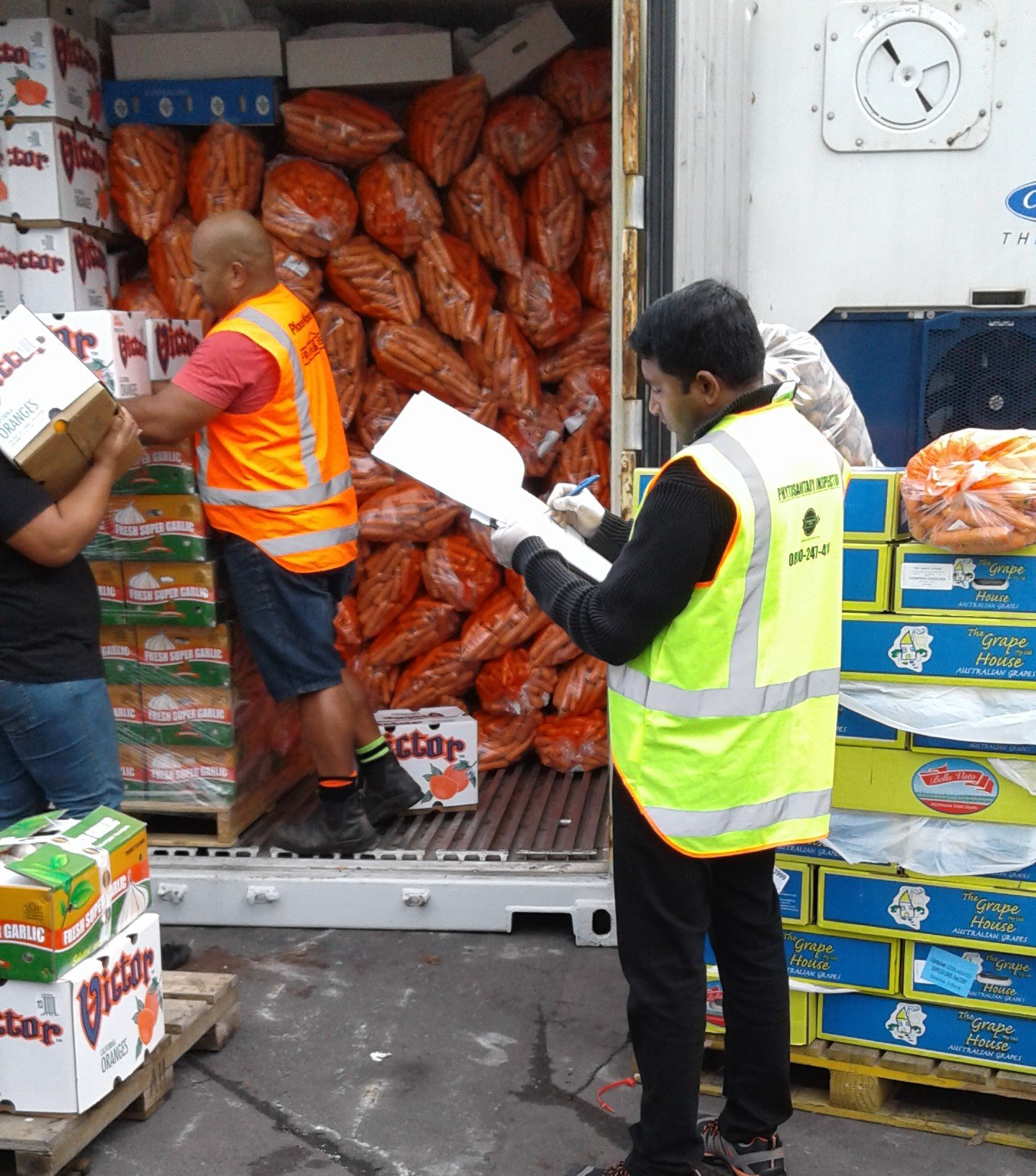 PHYTOSANITARY / ENDPOINT INSPECTIONS & PRODUCT SECURITY -The Agrichain ...