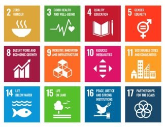 SDG Icons